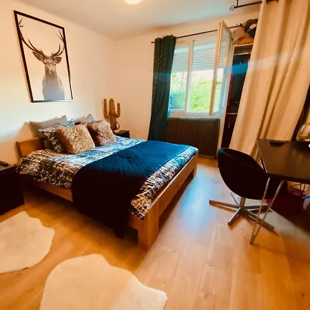 La Perle Nimoise - Town House Close To The Fontaine Garden 度假居