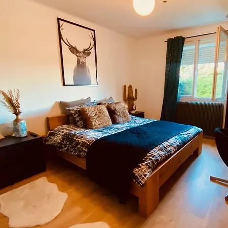 La Perle Nimoise - Town House Close To The Fontaine Garden 度假居